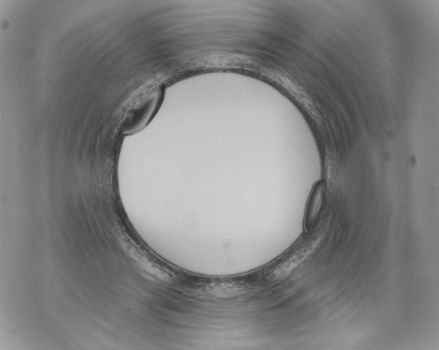 X0000071770445200607282217