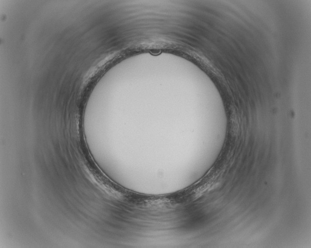 X0000071770446200607282217