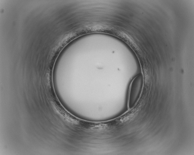 X0000071770447200607282217