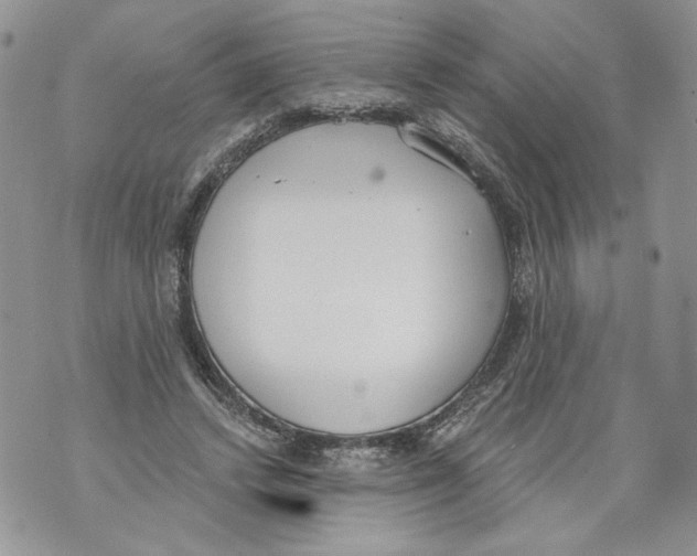 X0000071770448200607282217