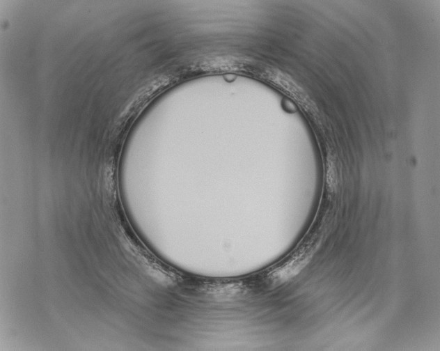 X0000071770449200607282217