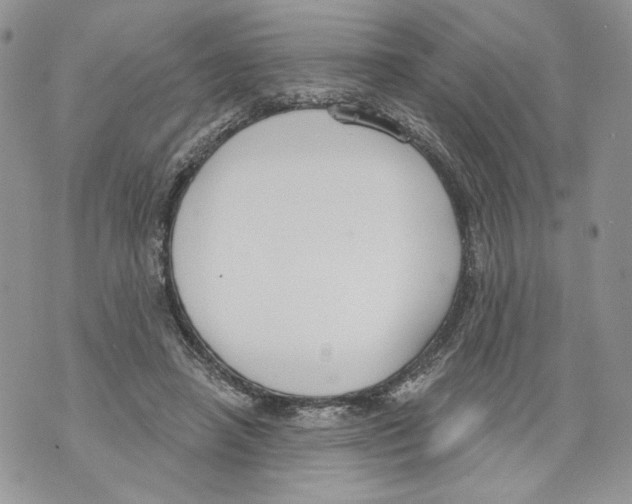 X0000071770450200607282217