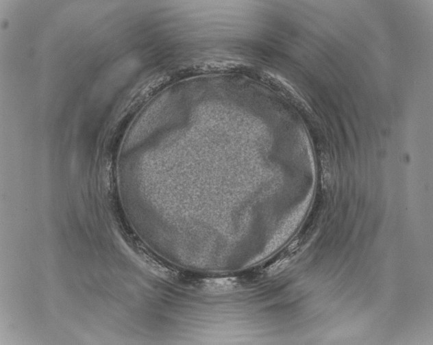 X0000071770451200607282217