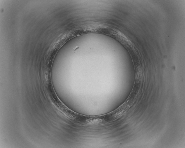 X0000071770452200607282217