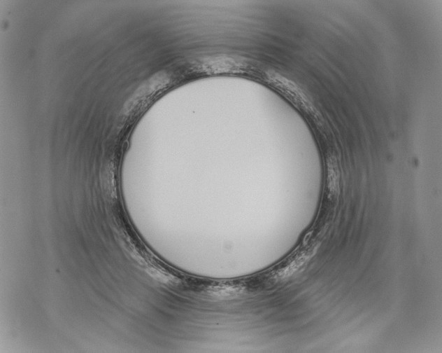 X0000071770453200607282217