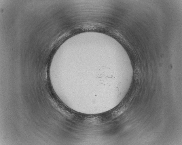 X0000071770454200607282217