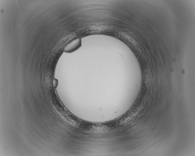 X0000071770455200607282217