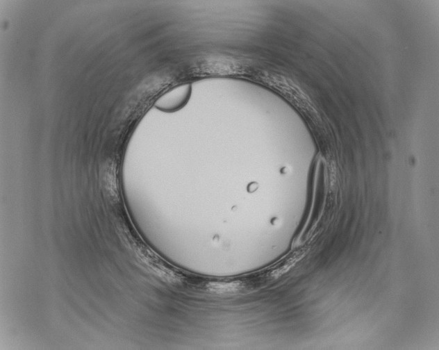 X0000071770457200607282217