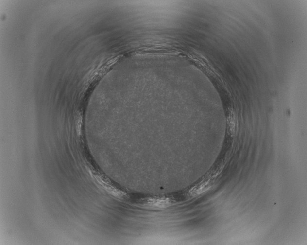 X0000071770458200607282217