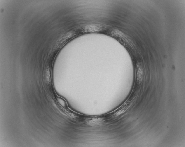 X0000071770459200607282217