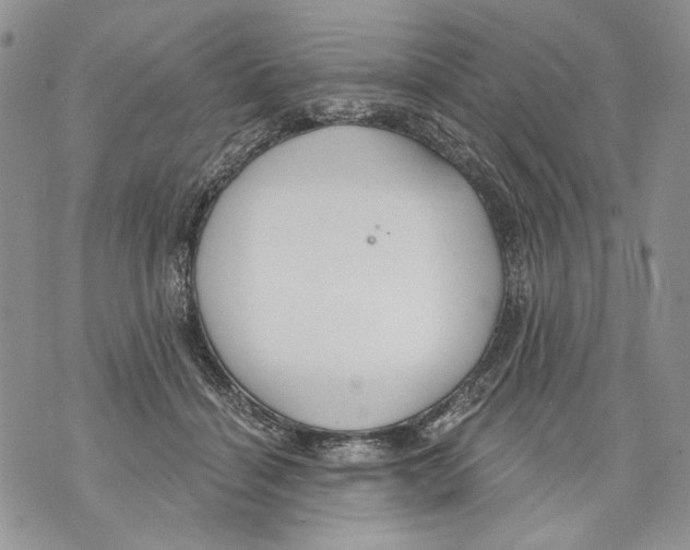 X0000071770460200607282217