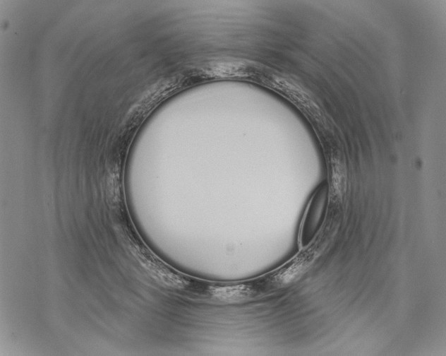 X0000071770461200607282217