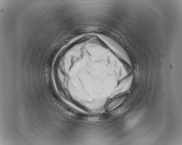 X0000071770462200607282217