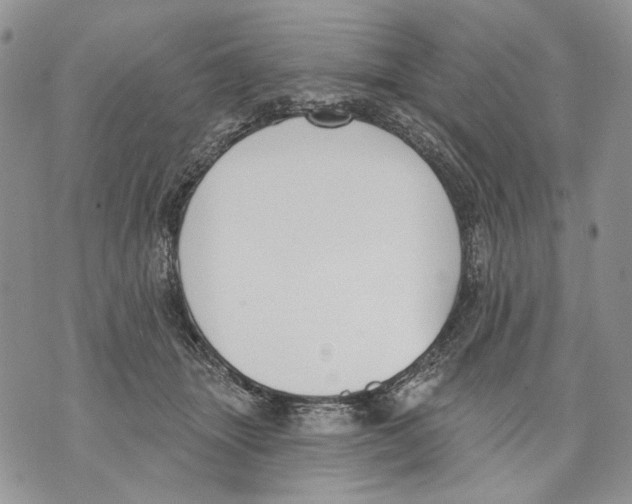 X0000071770463200607282217