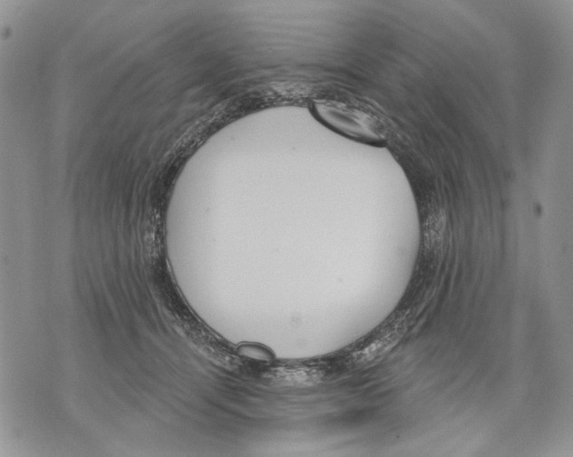 X0000071770464200607282217