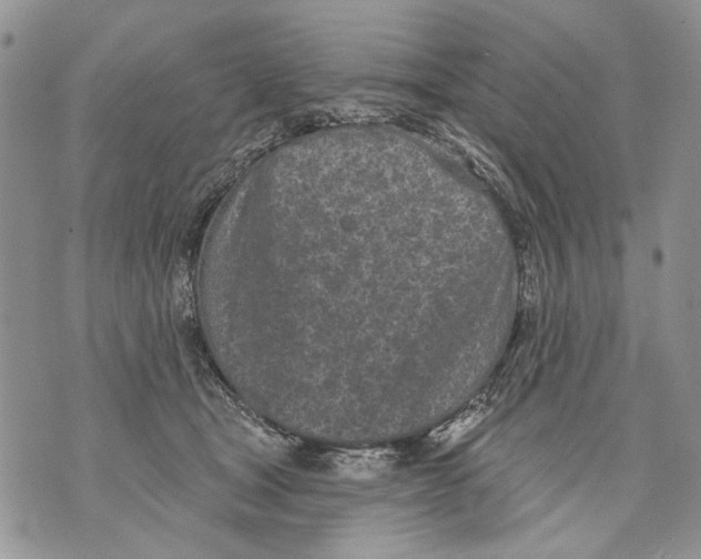 X0000071770465200607282217