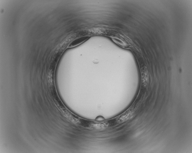 X0000071770466200607282217