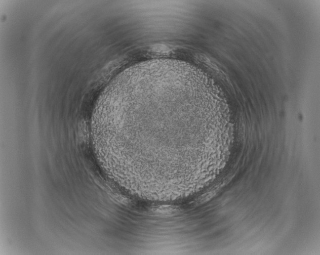 X0000071770467200607282217