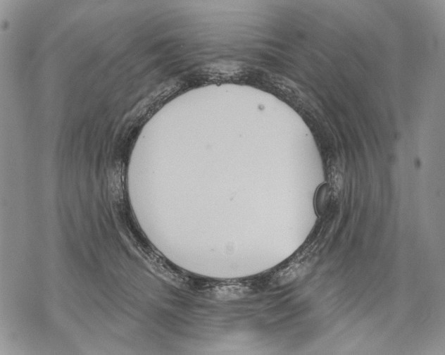 X0000071770468200607282217