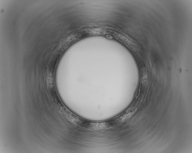 X0000071770469200607282217