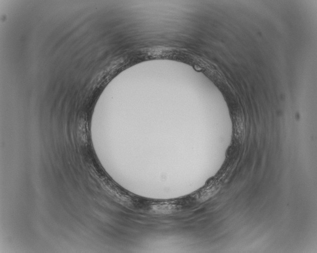 X0000071770470200607282217