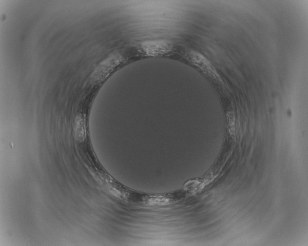 X0000071770471200607282217