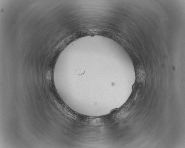 X0000071770472200607282217