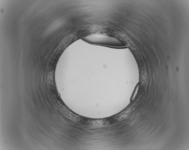 X0000071770473200607282217