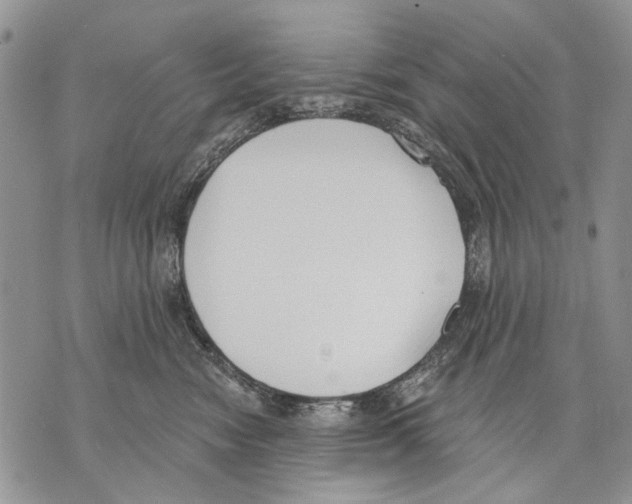 X0000071770474200607282217