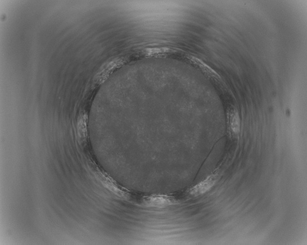 X0000071770475200607282217