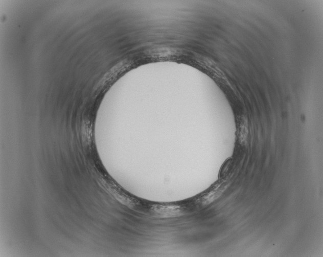 X0000071770476200607282218