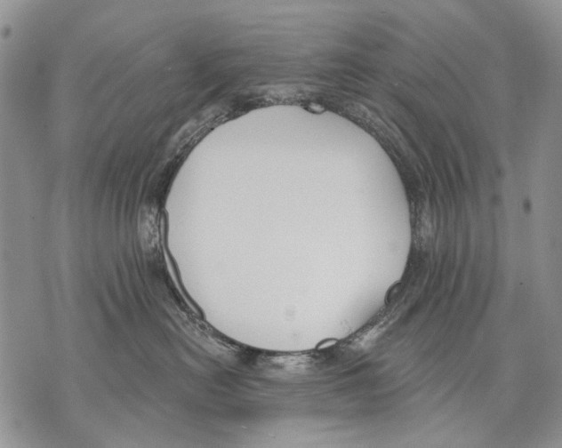 X0000071770478200607282218