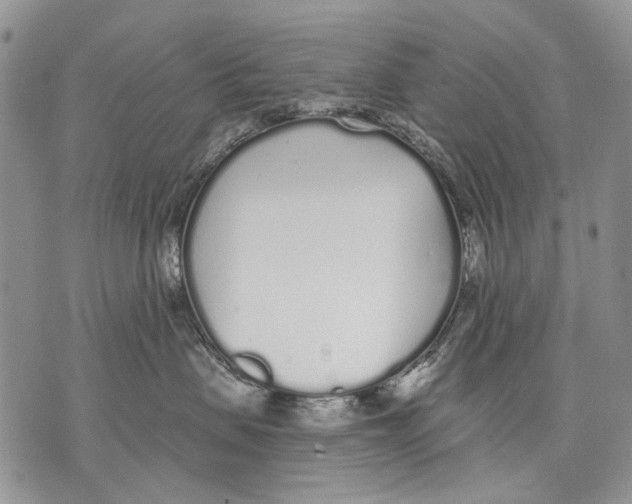 X0000071770479200607282218