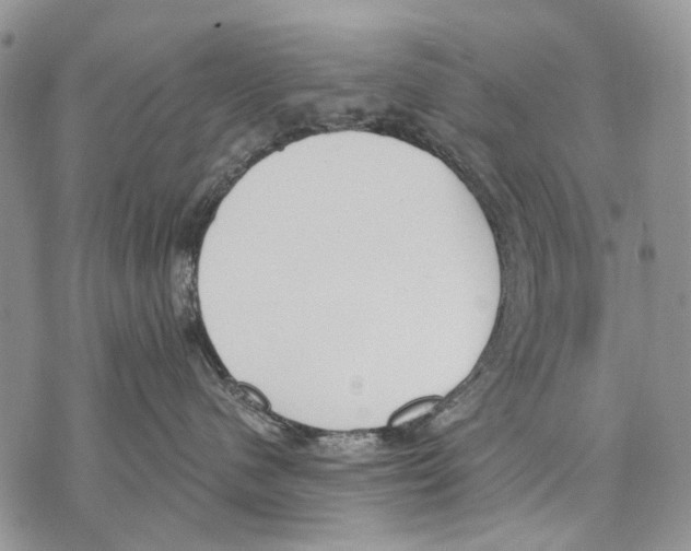 X0000071770480200607282218