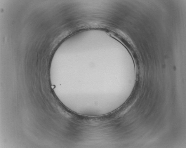 X0000071770481200607282217