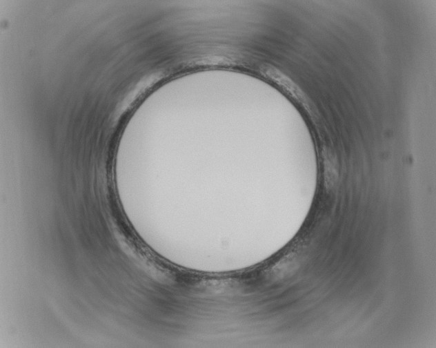 X0000071770482200607282217