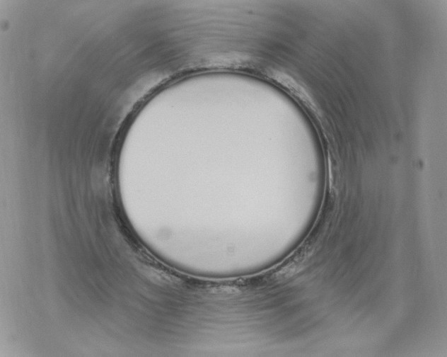 X0000071770483200607282217