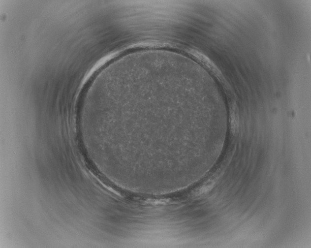 X0000071770484200607282217