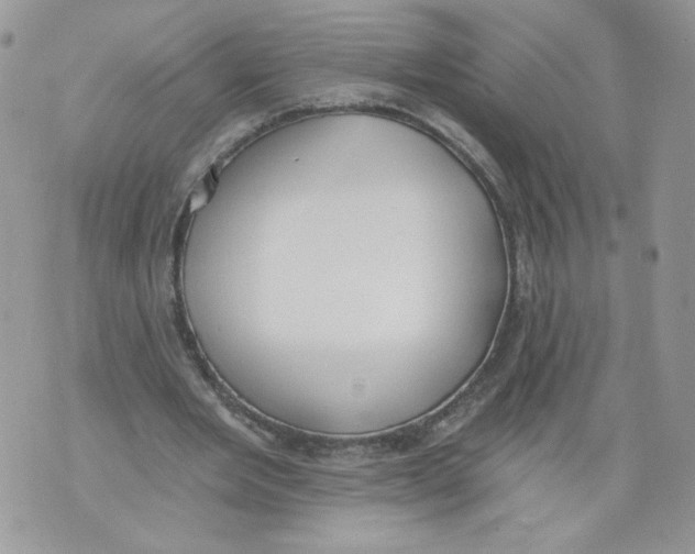 X0000071770485200607282217