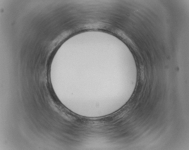 X0000071770486200607282217