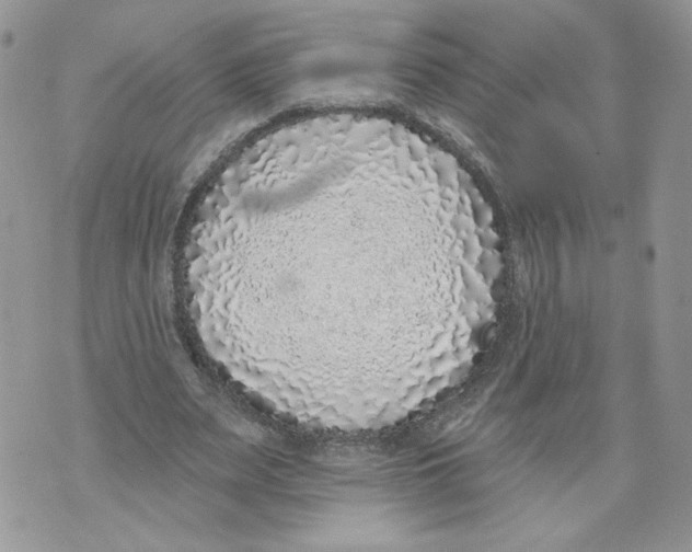 X0000071770487200607282217