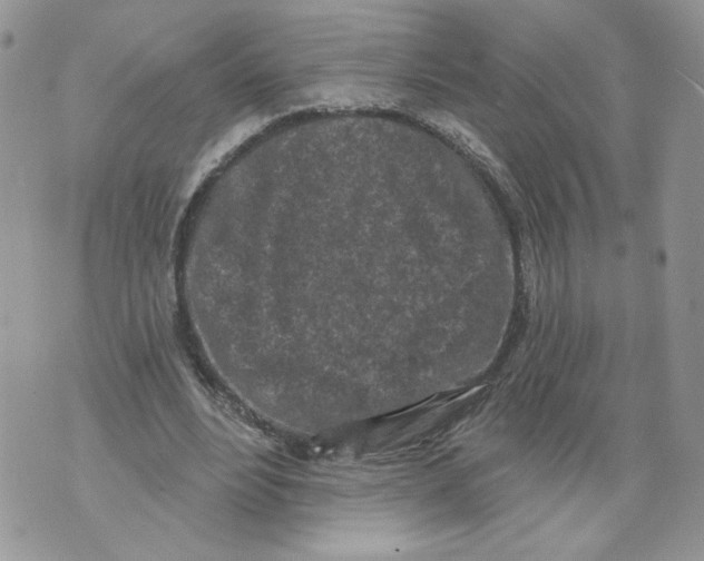 X0000071770488200607282217