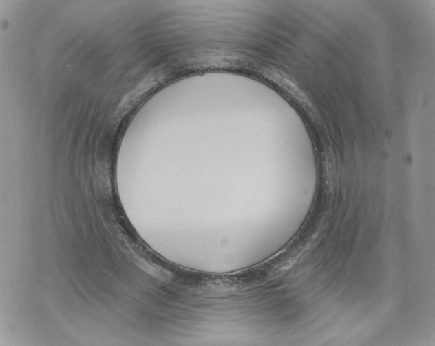 X0000071770489200607282217