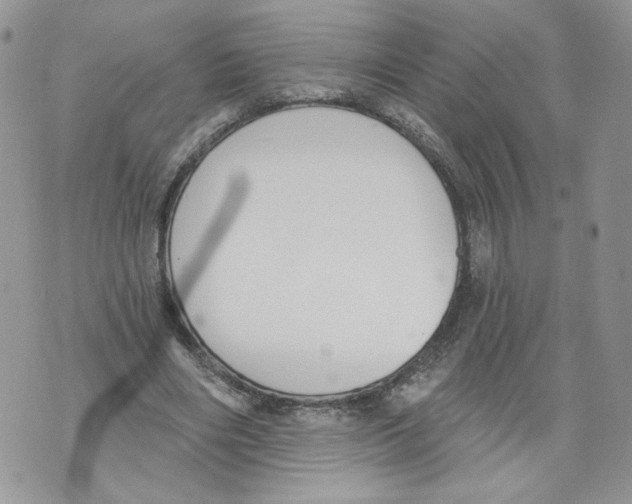 X0000071770490200607282217