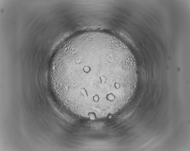 X0000071770491200607282217