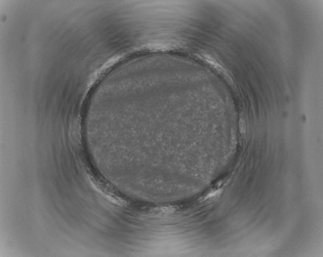 X0000071770492200607282217