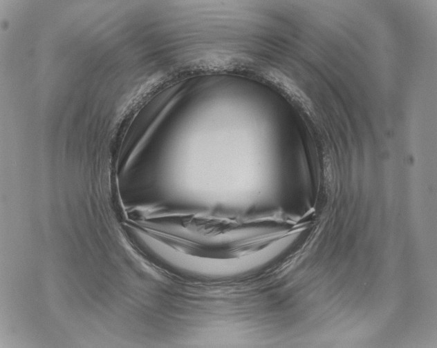 X0000071770493200607282217