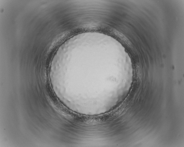 X0000071770494200607282217