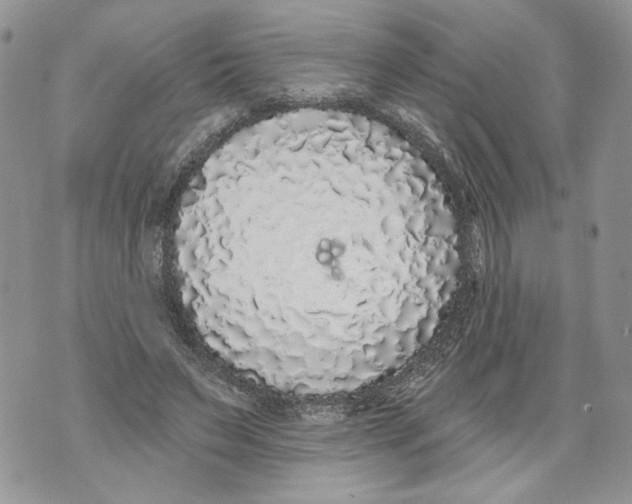 X0000071770495200607282217