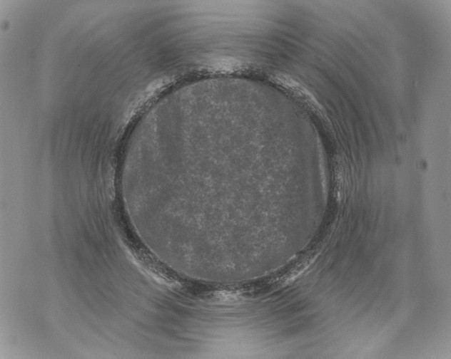 X0000071770496200607282217